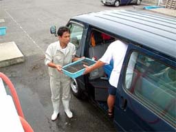 （写真）稚エビの入ったカゴを車に積む